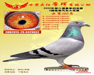 甘肅帝琿決賽150名