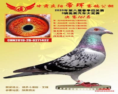 甘肅帝琿決賽161名