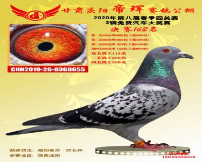 甘肅帝琿決賽162名