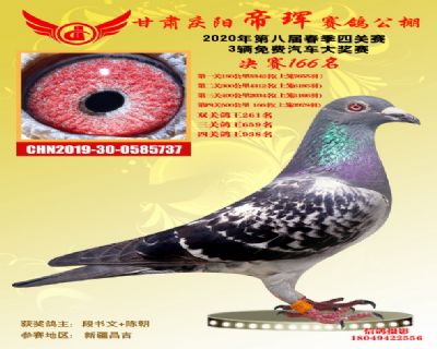 甘肅帝琿決賽166名