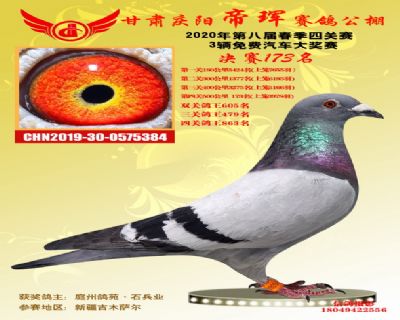 甘肅帝琿決賽173名