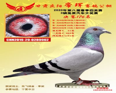 甘肅帝琿決賽176名