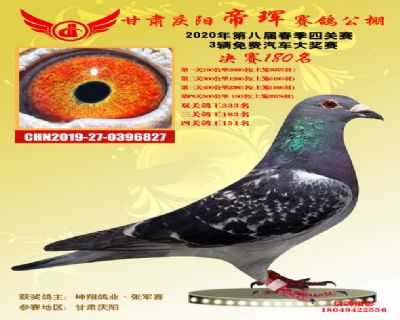 甘肅帝琿決賽180名
