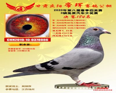 甘肅帝琿決賽184名