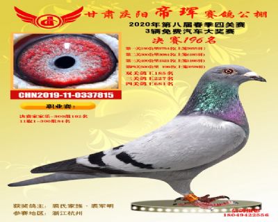 甘肅帝琿決賽196名