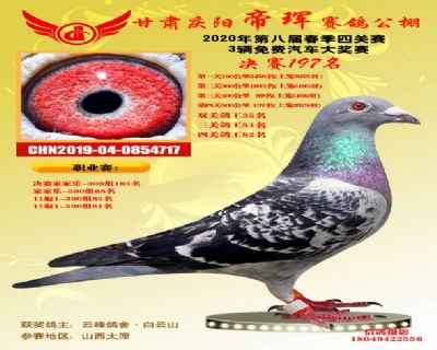 甘肅帝琿決賽197名