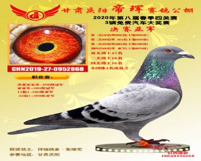 甘肃帝珲决赛亚军