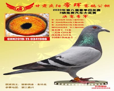 甘肃帝珲决赛季军