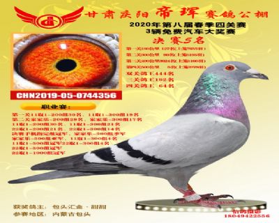甘肃帝珲决赛5名