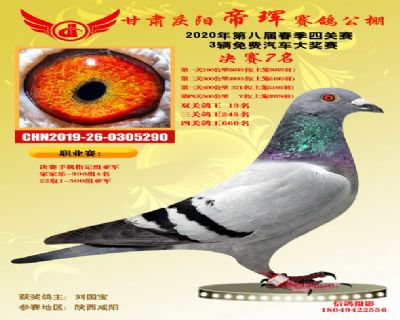 甘肃帝珲决赛7名