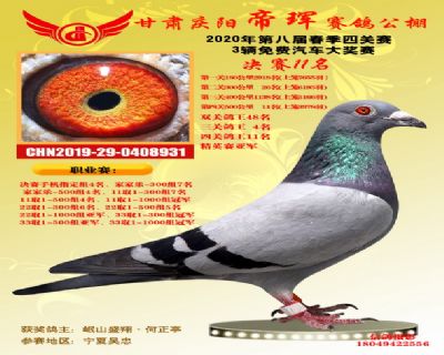 甘肃帝珲决赛11名