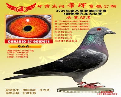甘肃帝珲四关鸽王8名