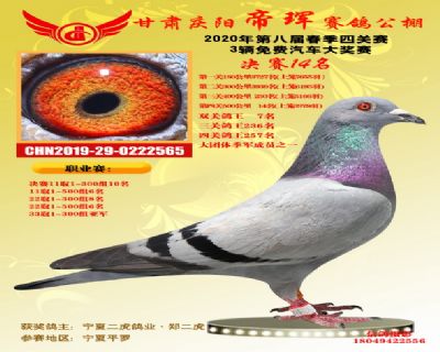 甘肃帝珲决赛14名