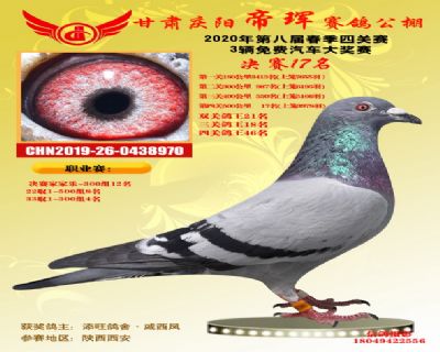 甘肃帝珲决赛17名