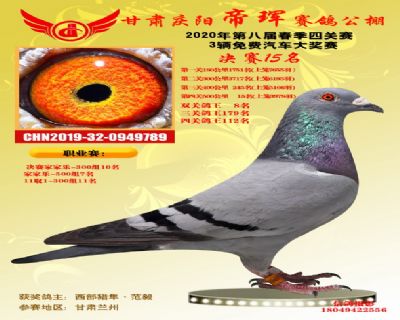 甘肃帝珲决赛15名