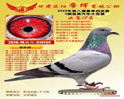 甘肃帝珲四关鸽王7名