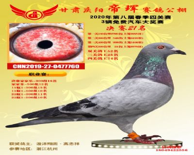 甘肃帝珲决赛21名