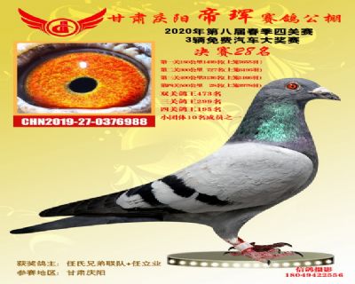 甘肃帝珲决赛28名