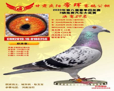 甘肃帝珲决赛29名