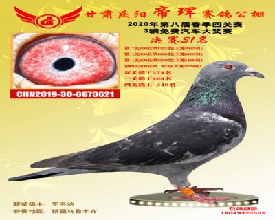 甘肃帝珲决赛31名