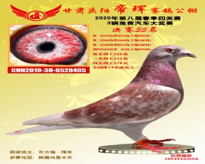 甘肃帝珲决赛35名
