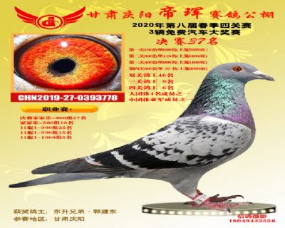 甘肃帝珲四关鸽王6名
