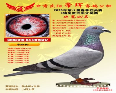 甘肃帝珲决赛40名