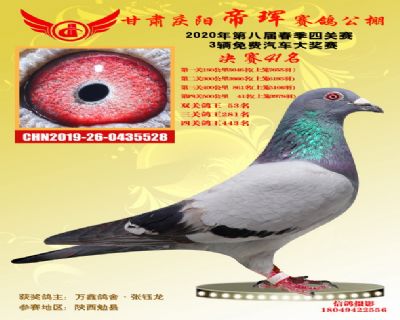 甘肃帝珲决赛41名