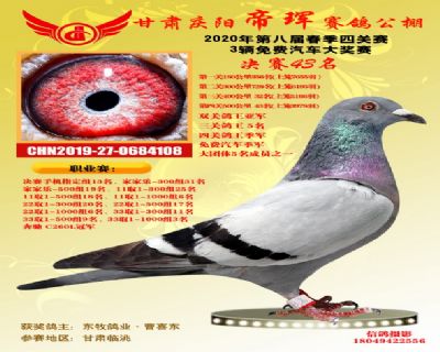 甘肃帝珲四关鸽王季军