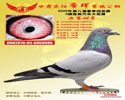 甘肃帝珲决赛42名