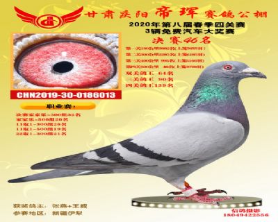 甘肃帝珲决赛46名