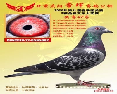 甘肃帝珲决赛47名