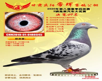 甘肃帝珲决赛49名