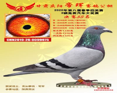 甘肃帝珲决赛53名