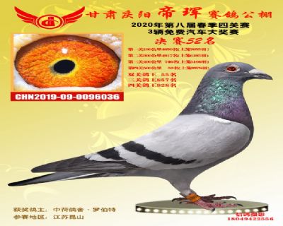 甘肃帝珲决赛52名