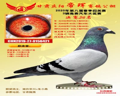甘肃帝珲决赛56名
