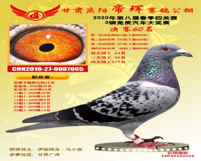 甘肃帝珲决赛60名