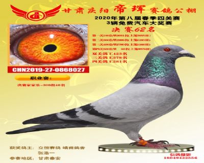 甘肃帝珲决赛62名