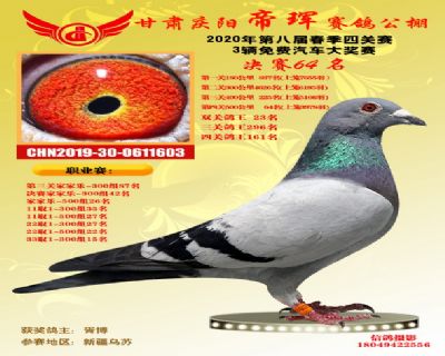 甘肃帝珲决赛64名