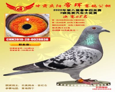 甘肃帝珲决赛68名