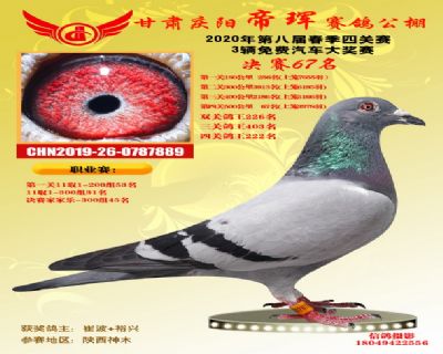 甘肃帝珲决赛67名