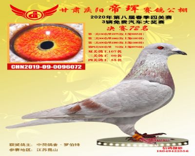 甘肃帝珲决赛72名