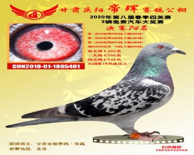 甘肃帝珲决赛74名