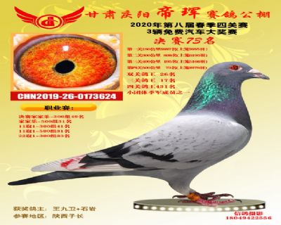 甘肃帝珲决赛73名