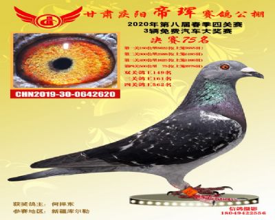 甘肃帝珲决赛75名