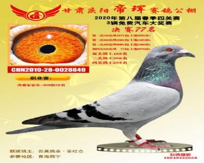甘肃帝珲决赛77名