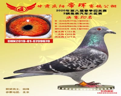 甘肃帝珲决赛80名