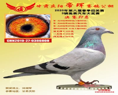 甘肃帝珲决赛81名