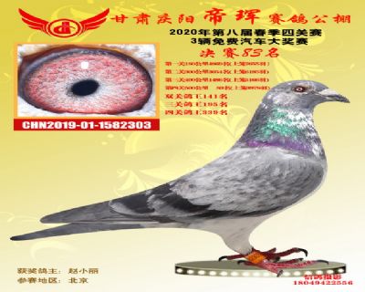 甘肃帝珲决赛83名
