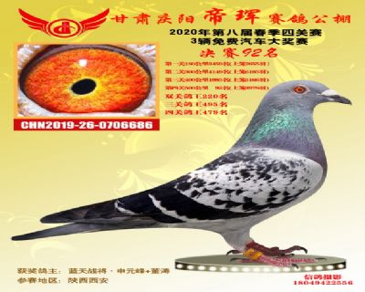 甘肃帝珲决赛92名
